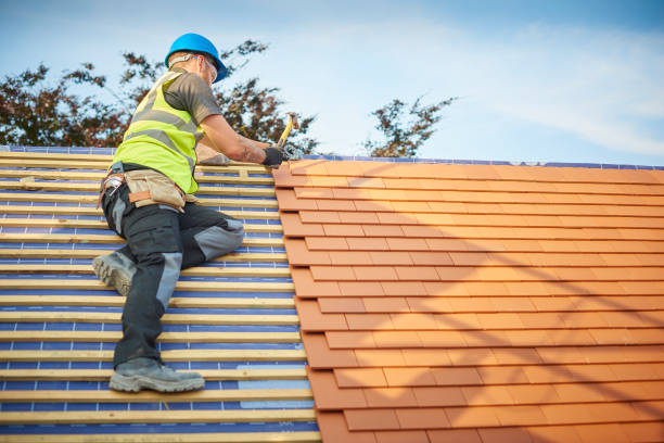 Best Asphalt Shingle Roofing  in Oak Grove, MO